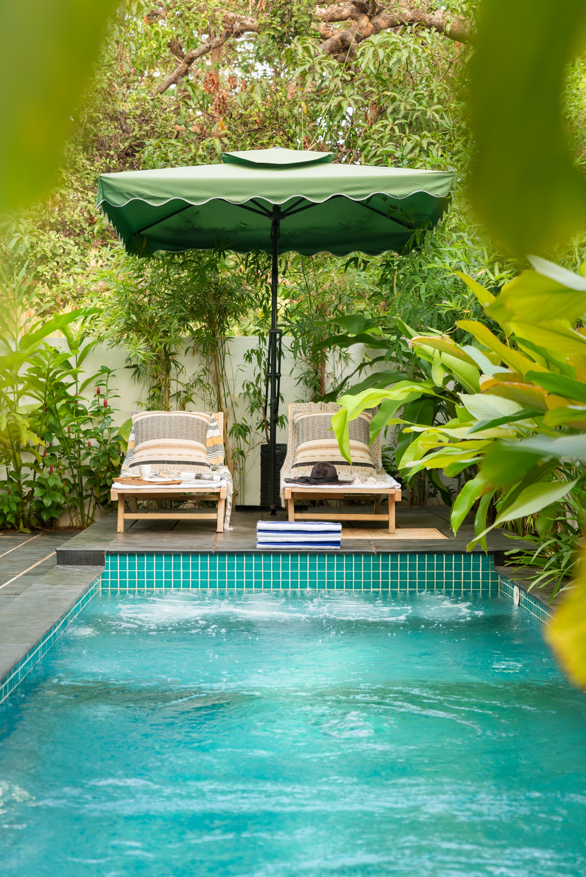 A secluded swimming pool surrounded by tropical planting