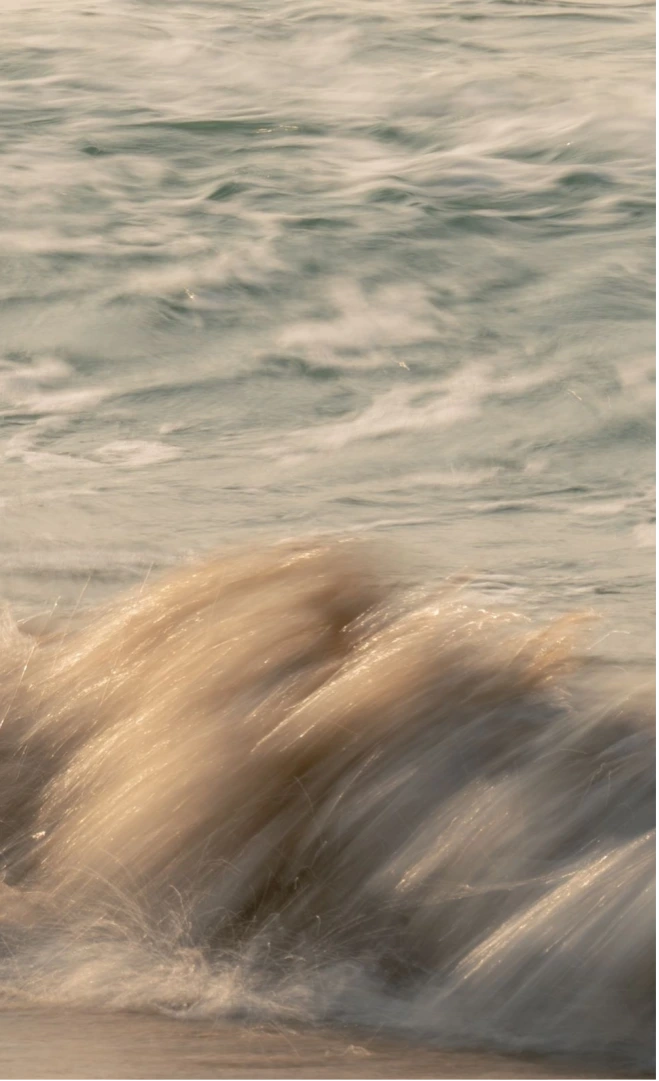 Coastal light and palm shadow texture